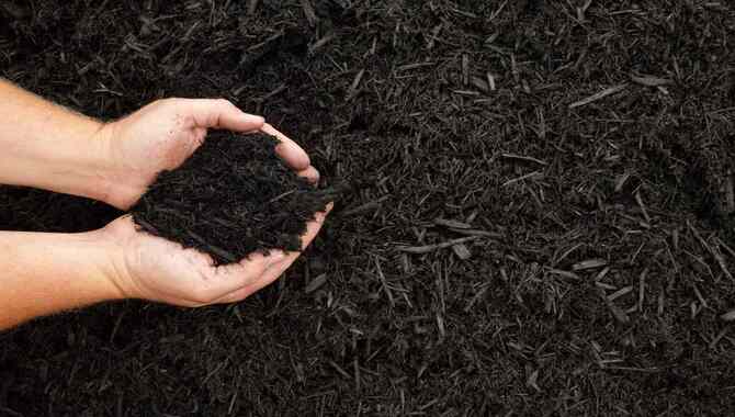 Types Of Wood Chips For Composting