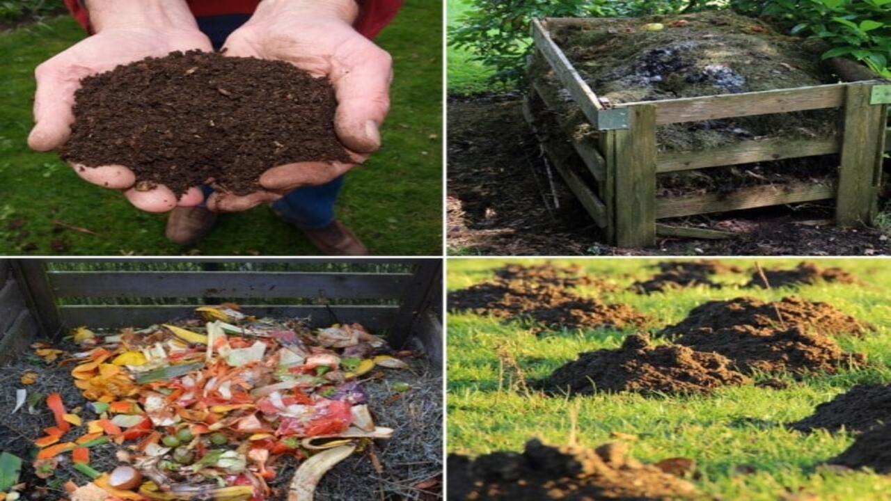 Types of Compost