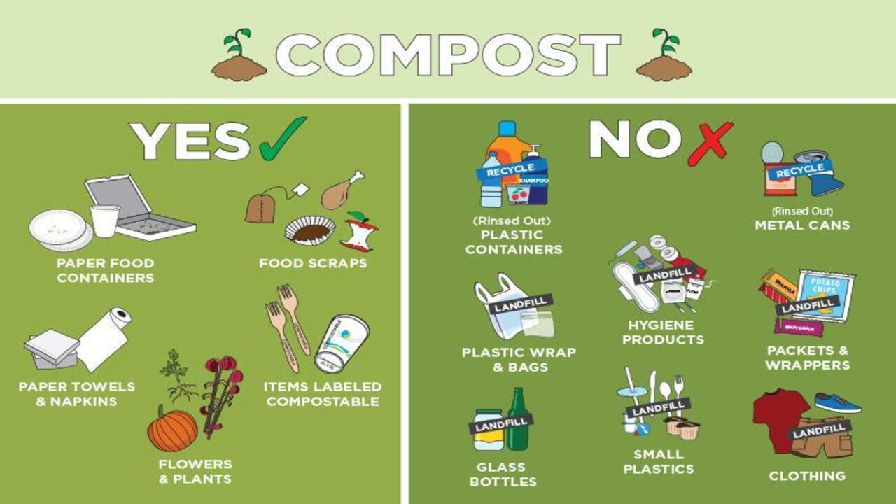 Understanding Compostable Materials