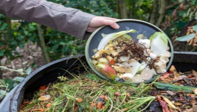 Understanding The Basics Of Composting
