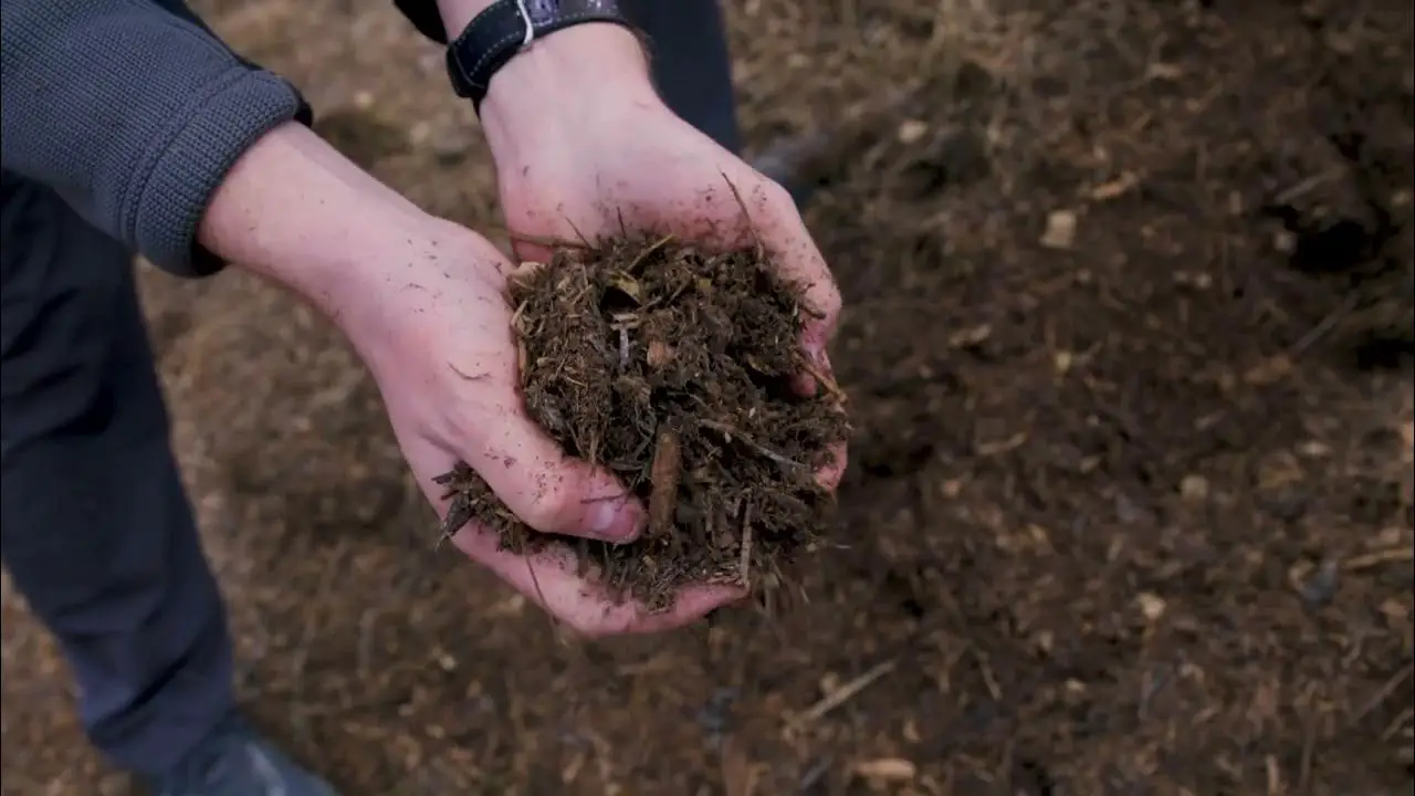 Understanding The Define Compost And How It Works