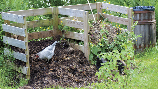 Understanding The Fundamentals Of Composting