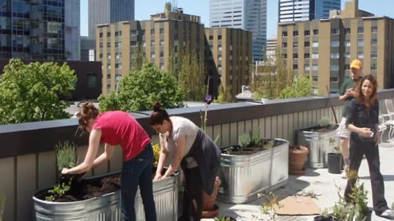 Urban Composting Innovative Solutions For Limited Spaces