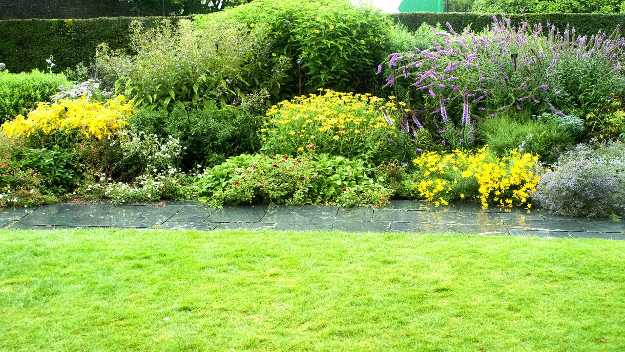 Use Plants As Flood Protection