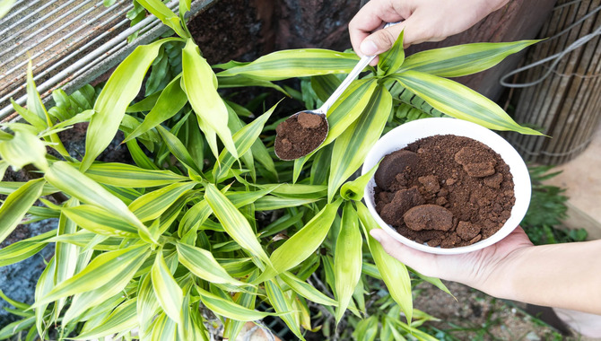 Using Coffee Grounds In Vermicomposting