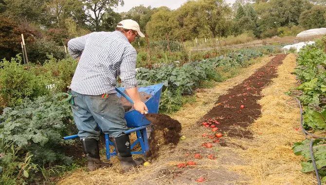 Using Compost For Gardening And Agriculture