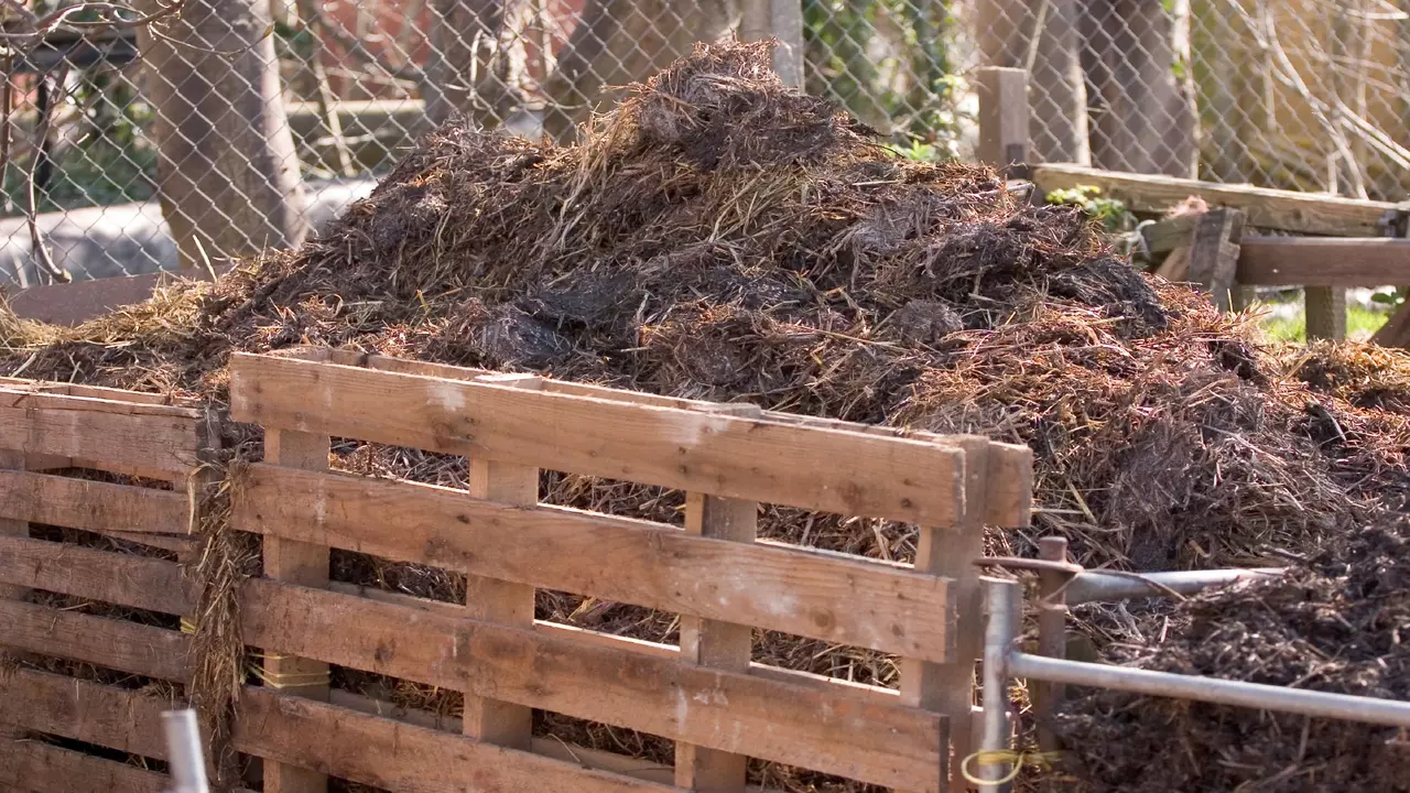 Using Compost In Your Garden