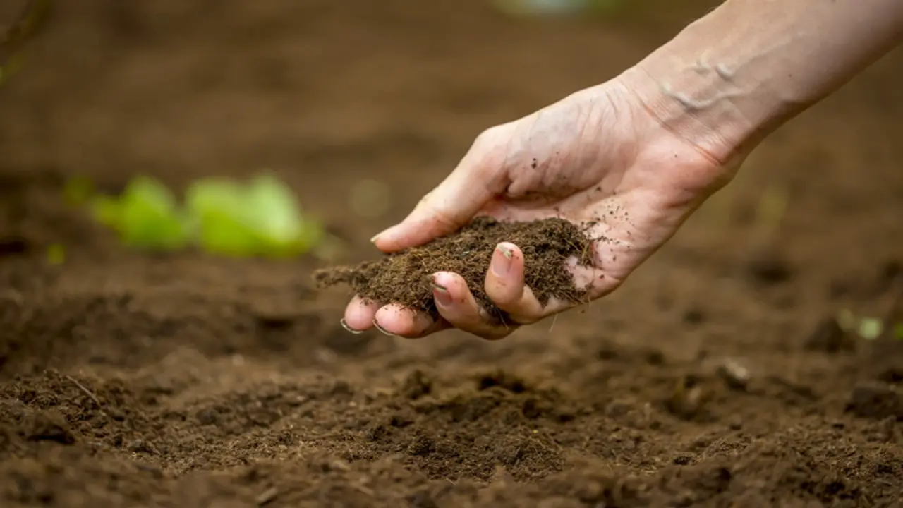 Using Compost To Improve Soil Fertility