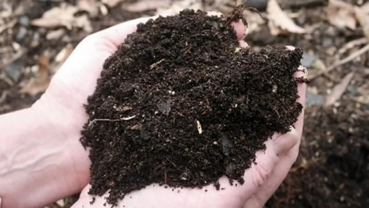 Using Compost for Landscaping