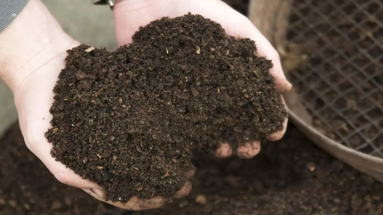 Using Home-Grown Compost