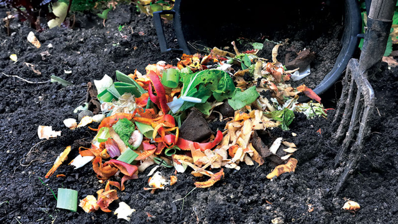Using Trench Composting