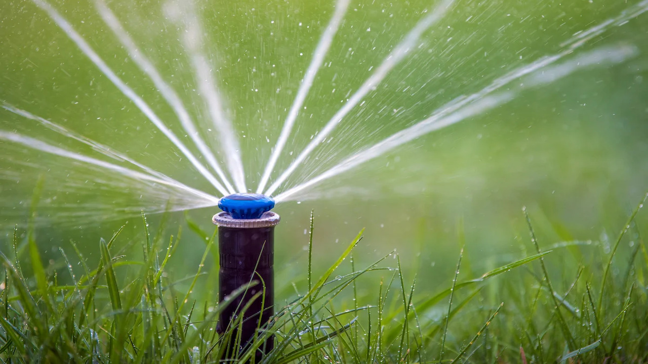 Watering After Fertilizing