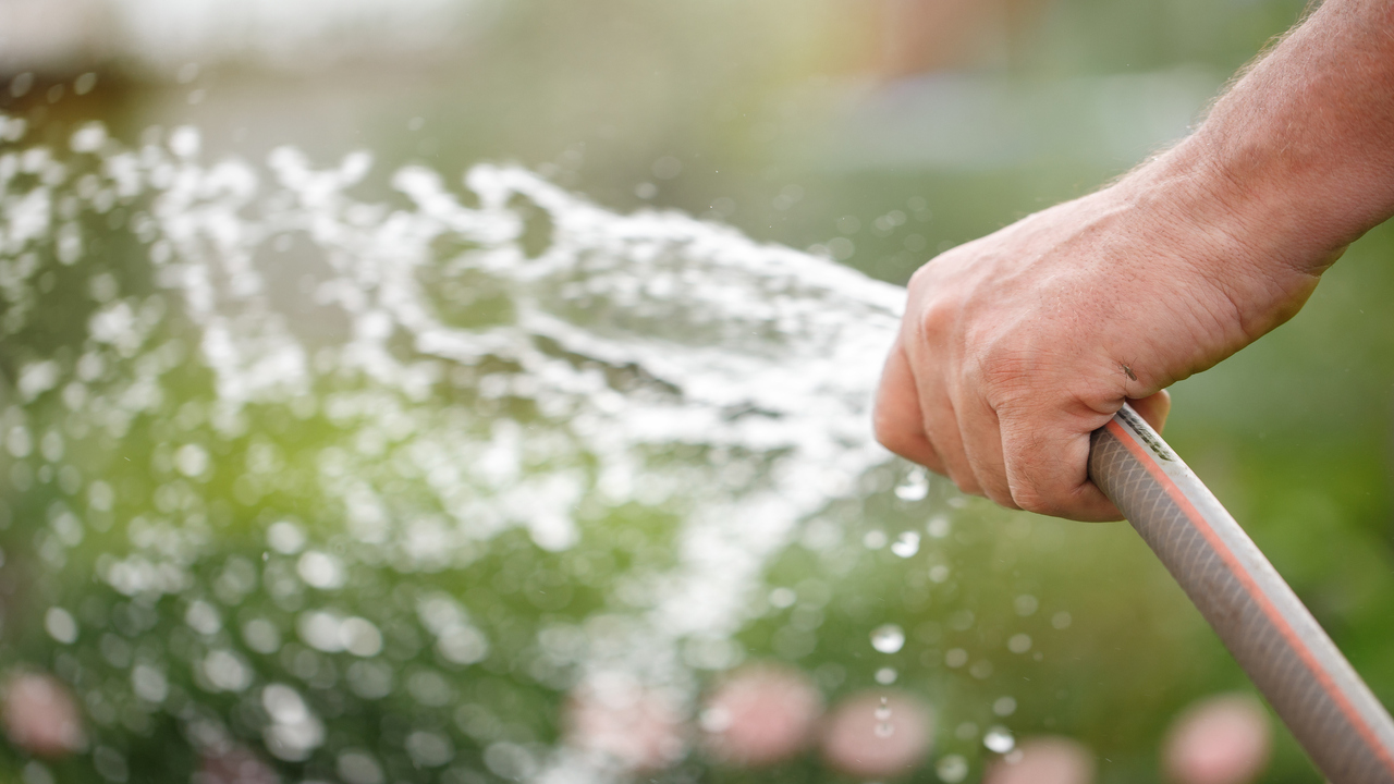 Watering Practices