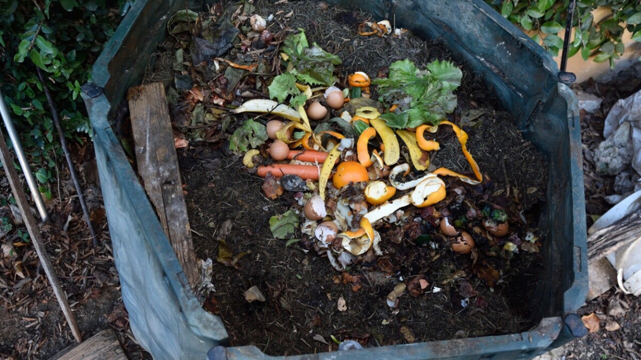 What Are Composting Laws