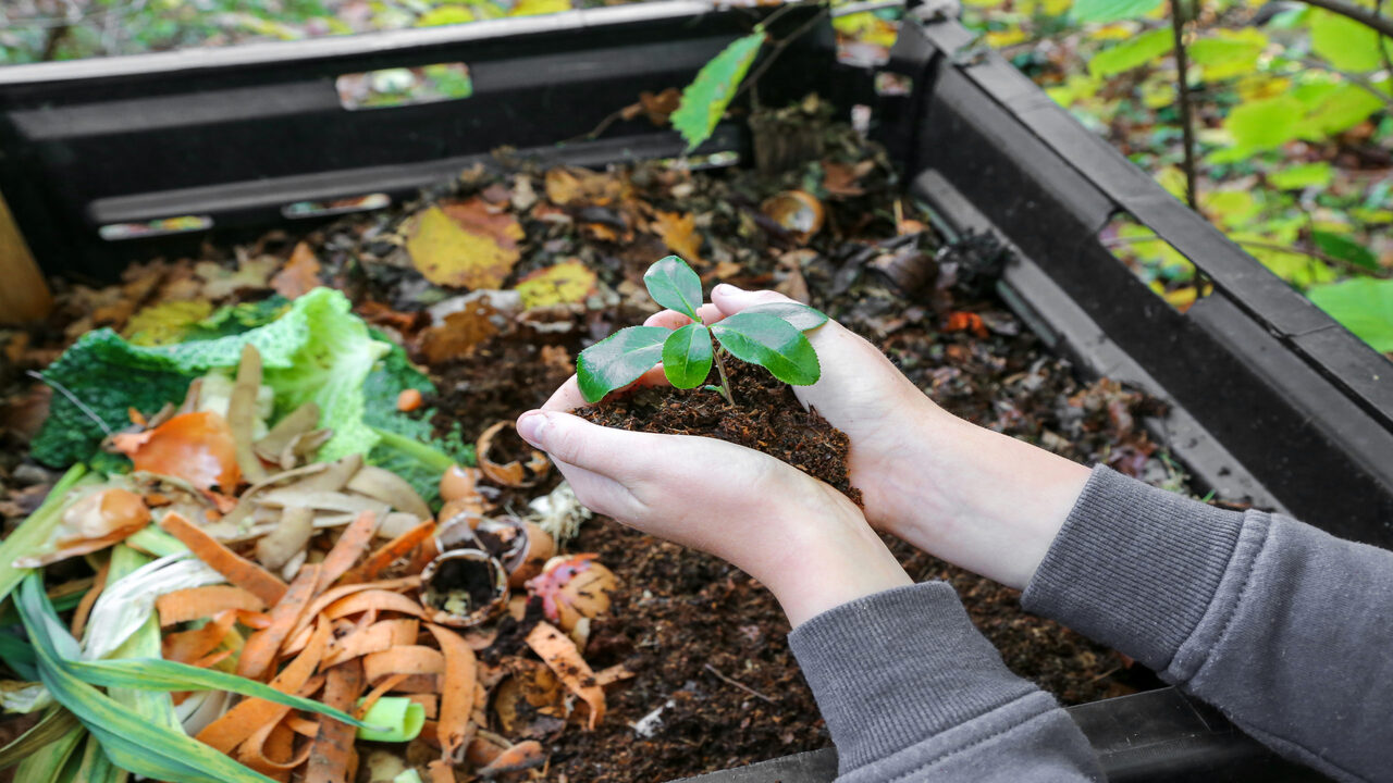 What Are The By Products Of Composting That We Can Get From Decomposting