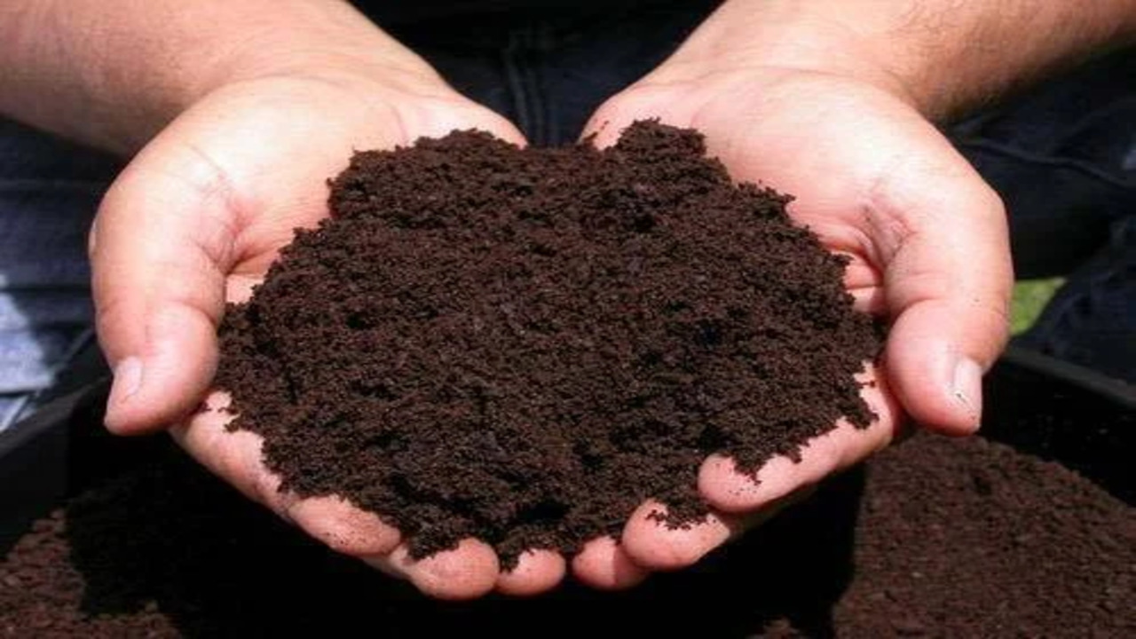 What Benefits Does Magic-Valley Compost Provide