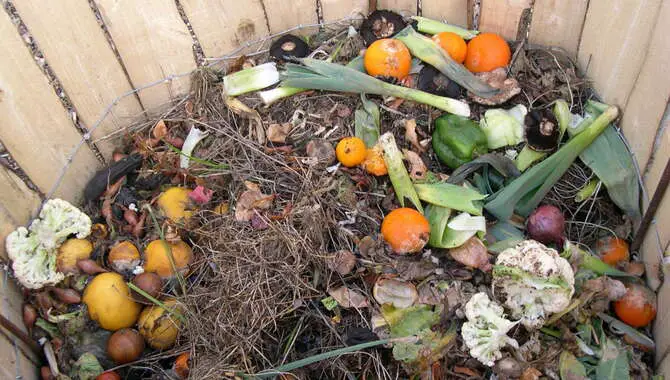 What Can I Compost
