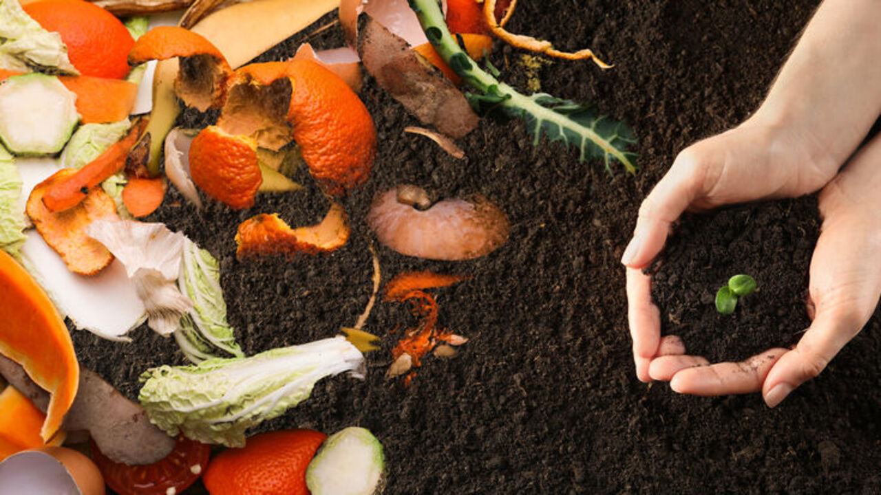 What Does Composted Mean: How To Decoding The Mystery Of Composting