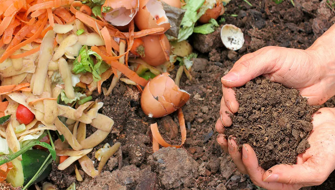 What Is A Compost