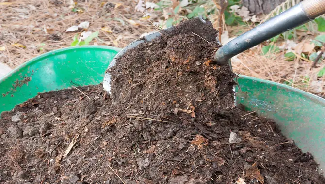 What Is Composting With Yard Waste