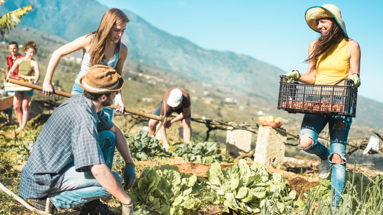 What Is The Compost Act