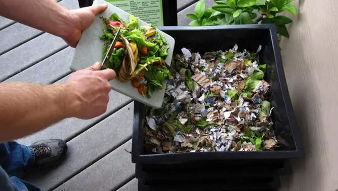  What Kitchen Scraps Can Be Composted