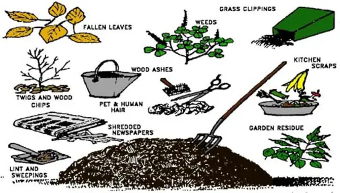 What Materials Can Be Composted