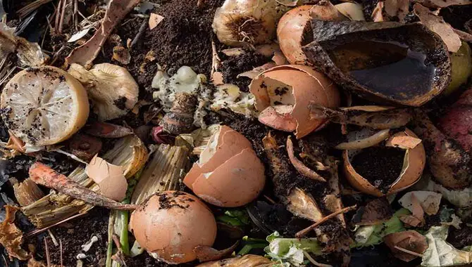 What Materials Need Before Composting With Eggshells