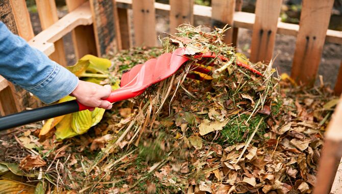 What Tools Do I Need To Start Composting In Raised Beds