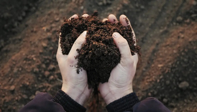 When To Use Compost Or Fertilizer