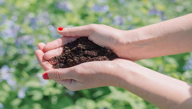 Why Coffee Grounds Are Important For Composting