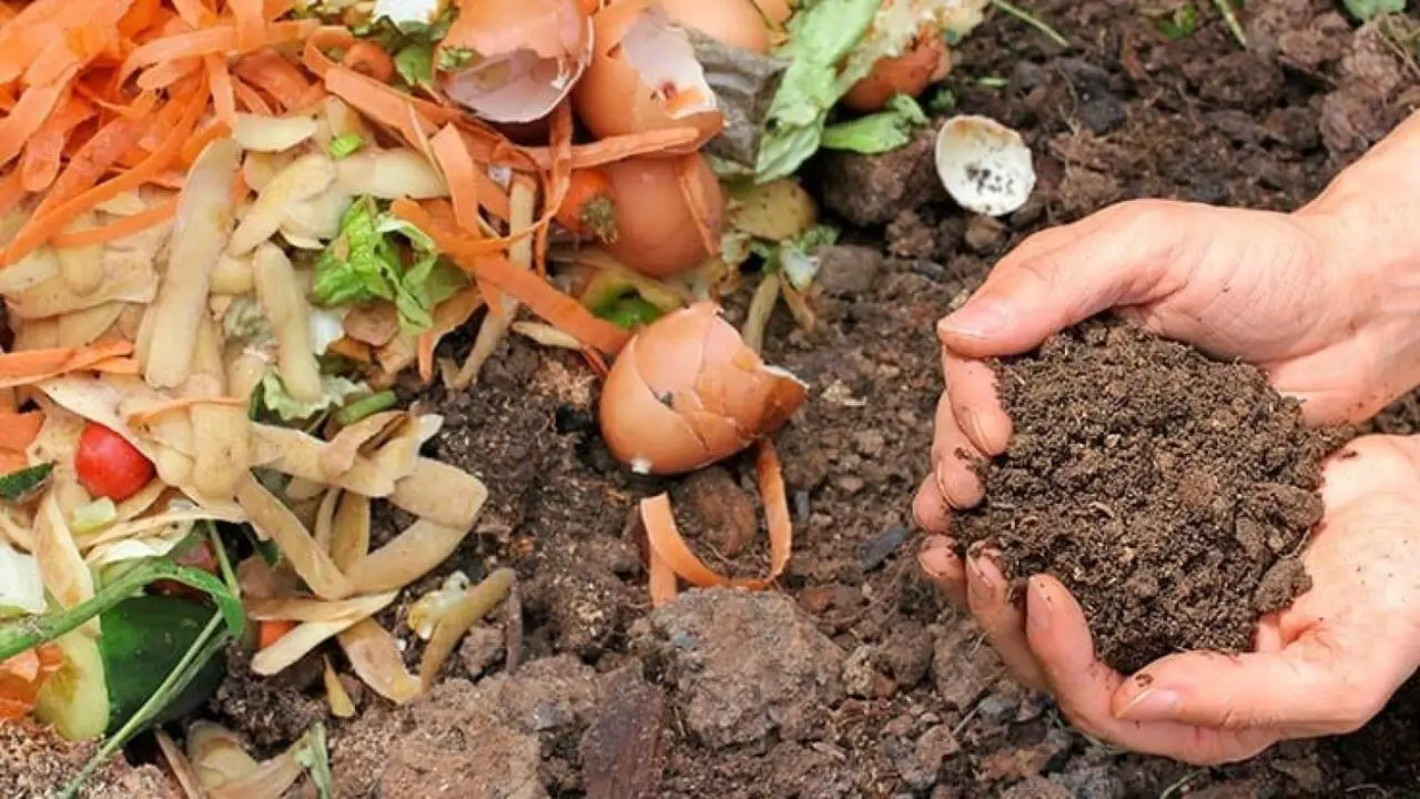 Why Compost Discover The Benefits Of Composting