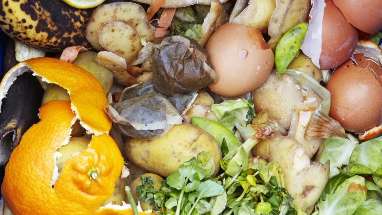 Why Composting Food Waste Is Important