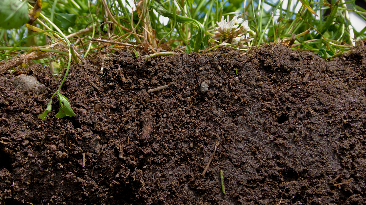 Why Is Second Nature Compost Important For Soil Health