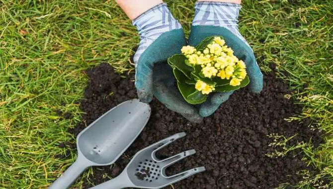 Why Use Compost In Your Garden