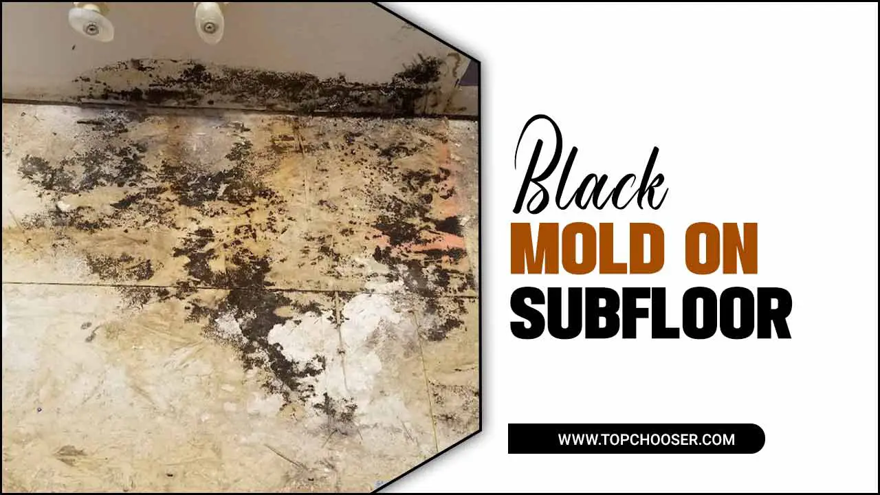 Black Mold On Subfloor