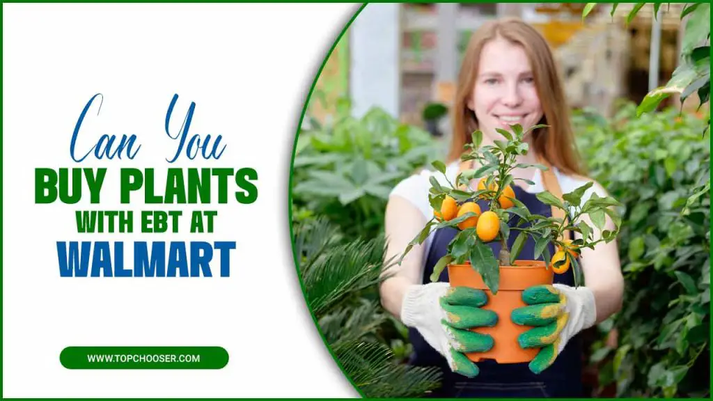 Can You Buy Plants With Ebt At Walmart
