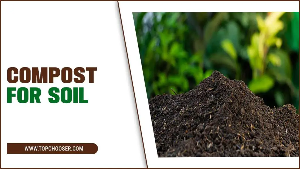 compost for soil