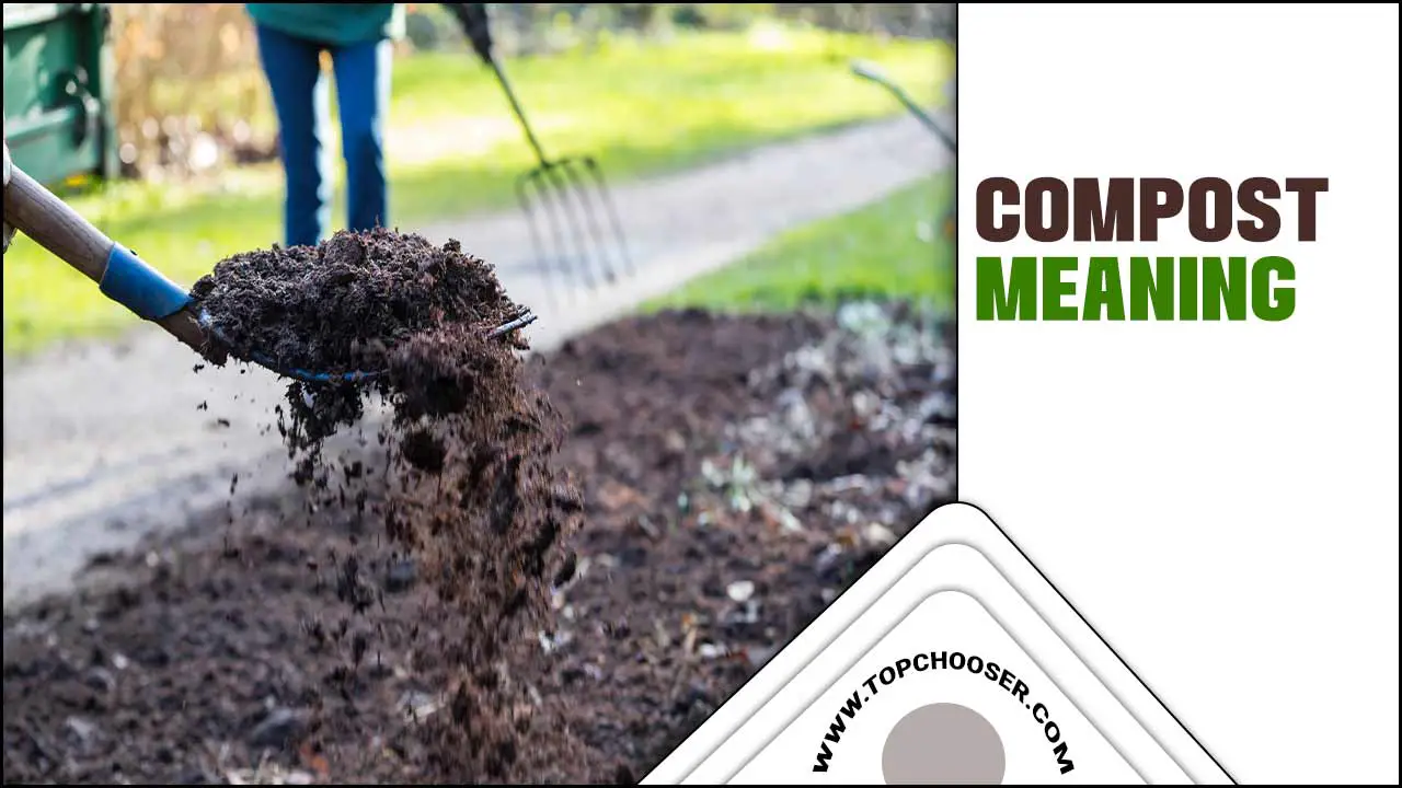 compost meaning