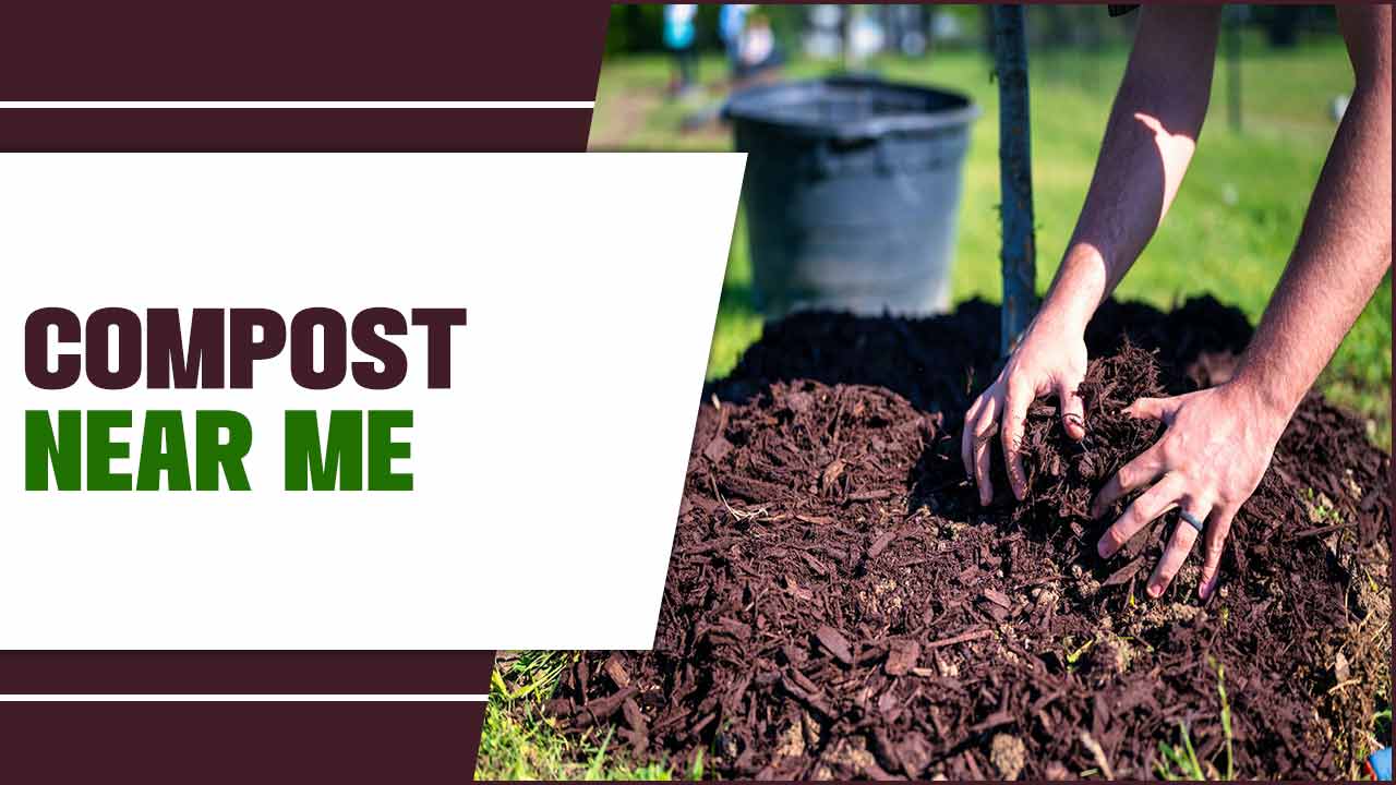 Compost Near Me