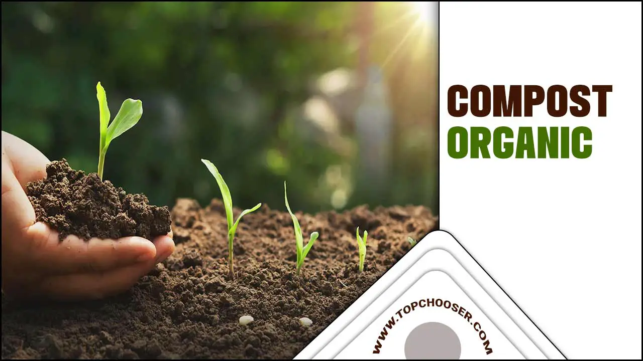 Compost Organic
