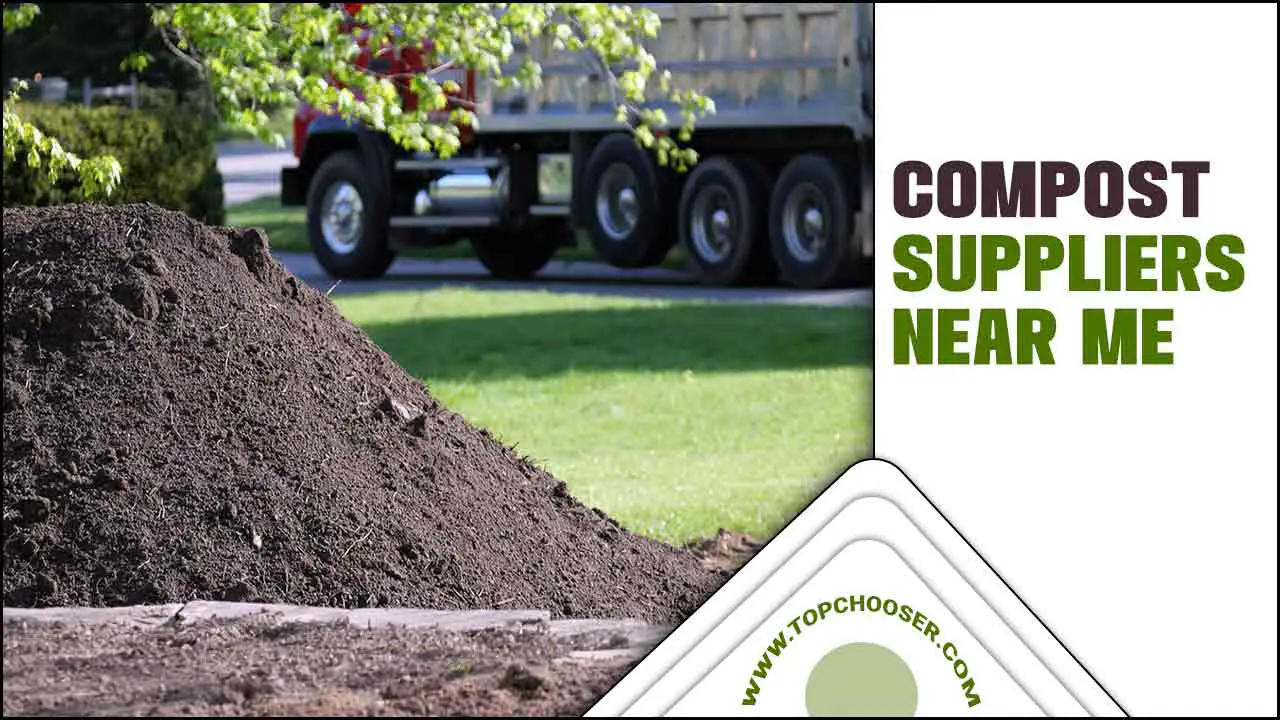  Compost Suppliers Near Me