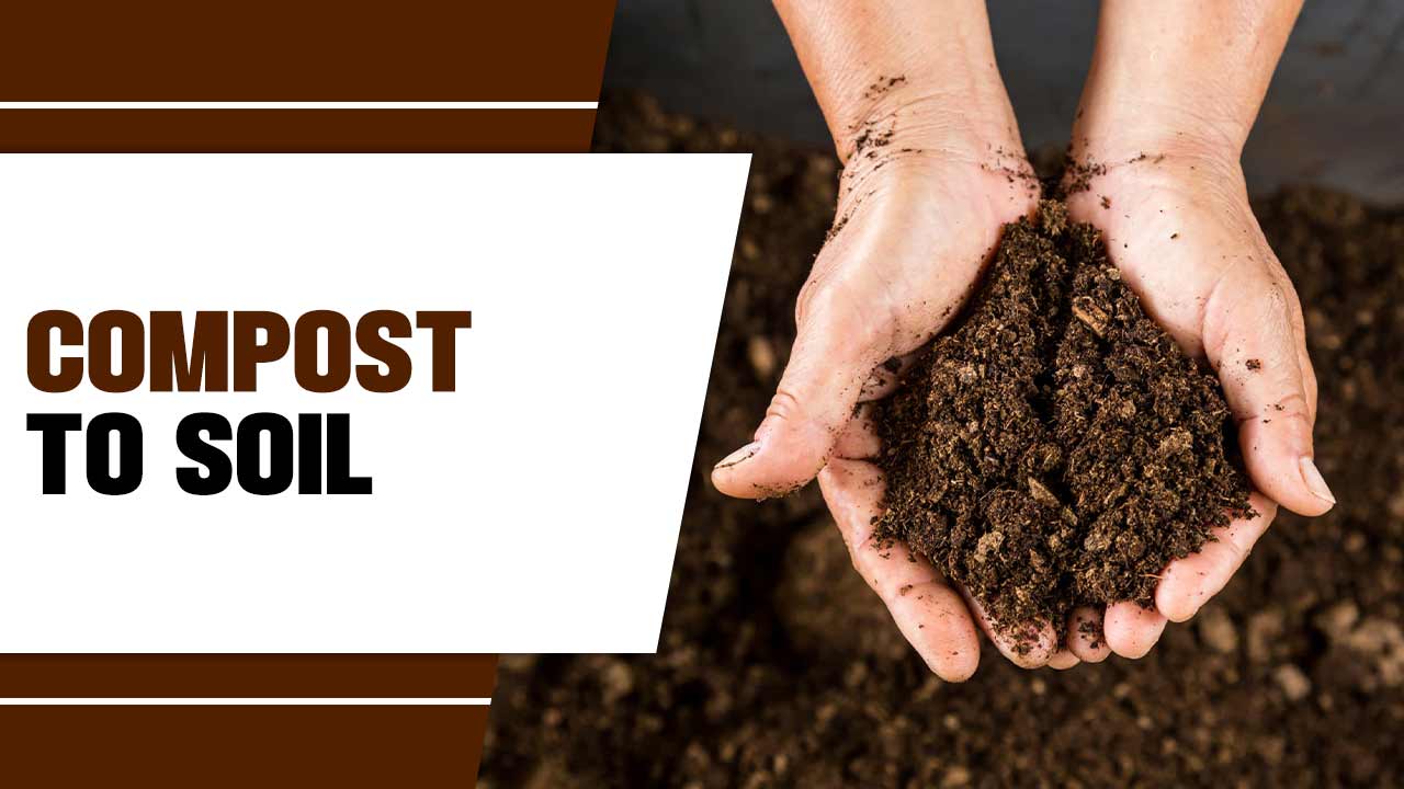 compost to soil