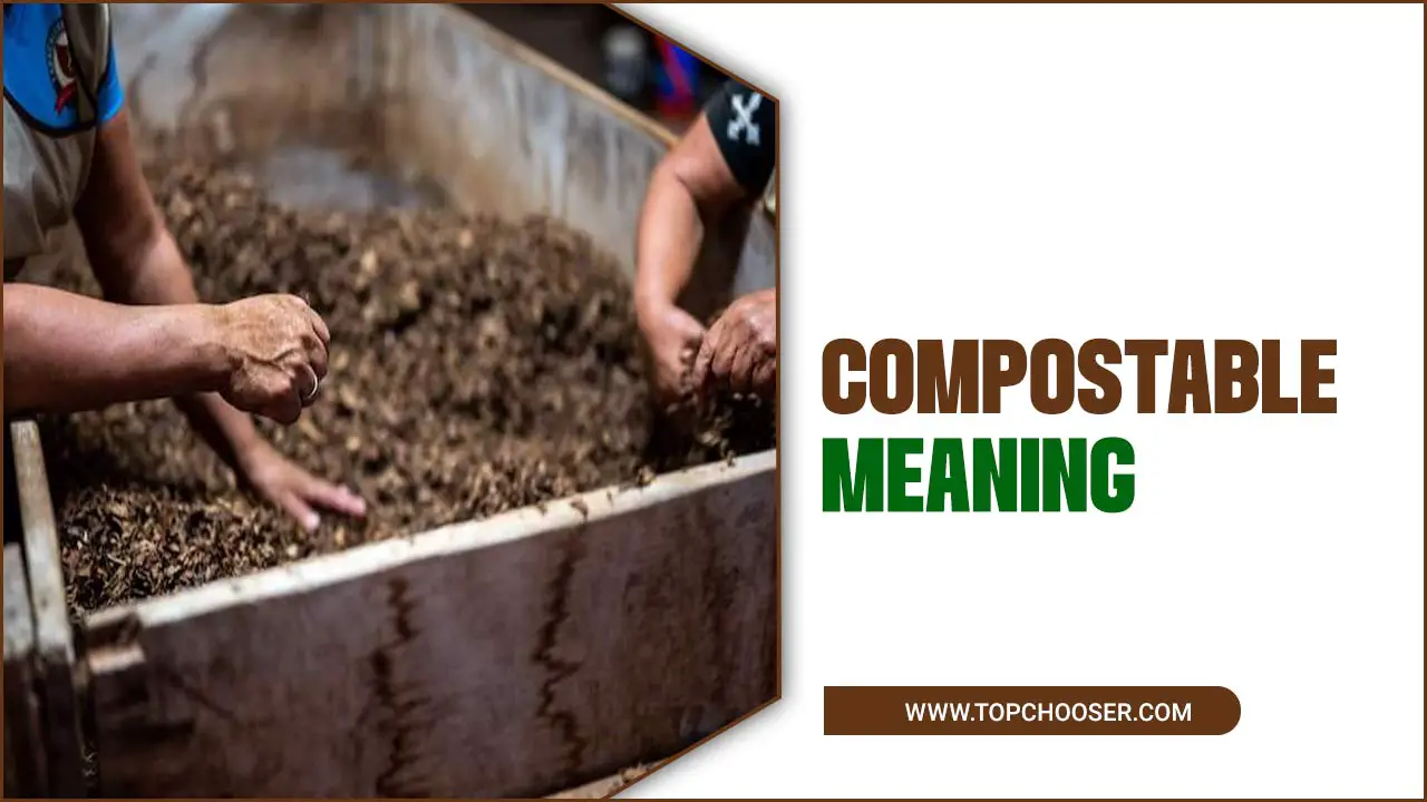 Compostable Meaning