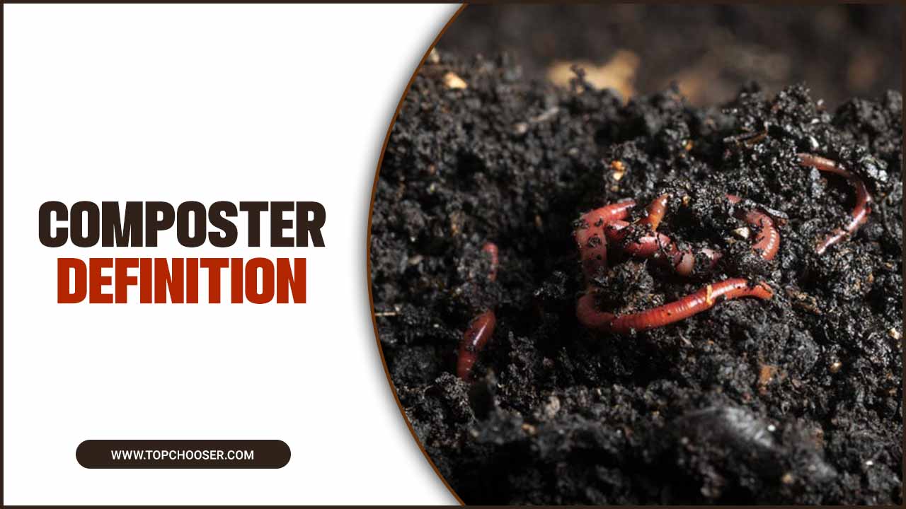 Composter Definition