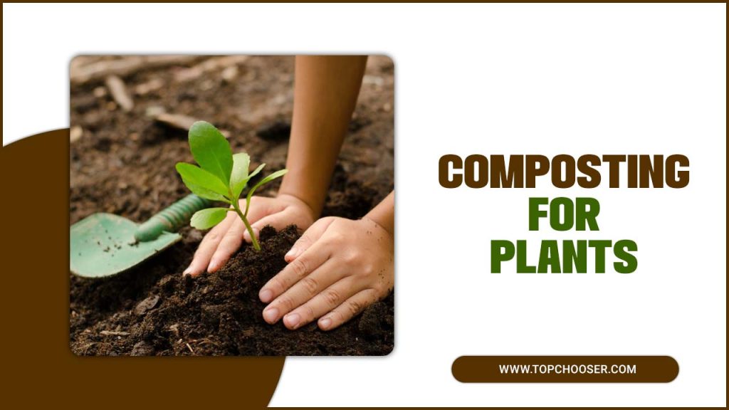 Composting For Plant