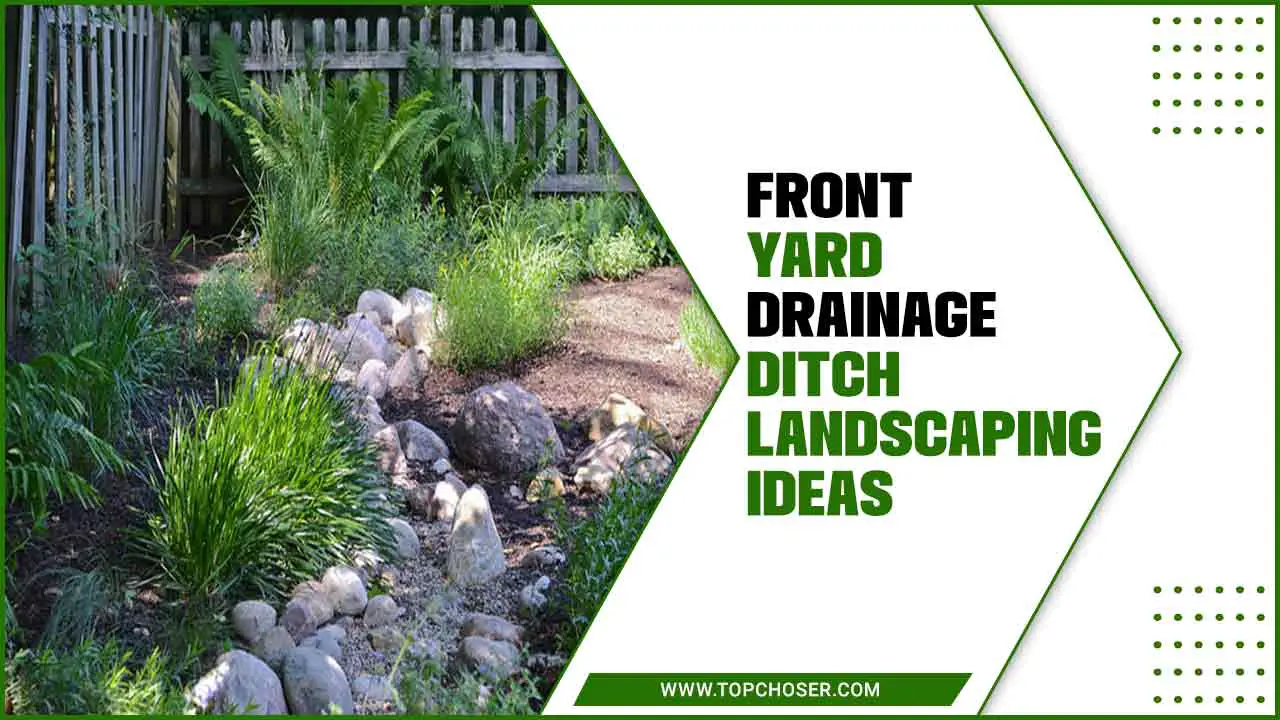 Front Yard Drainage Ditch Landscaping Ideas