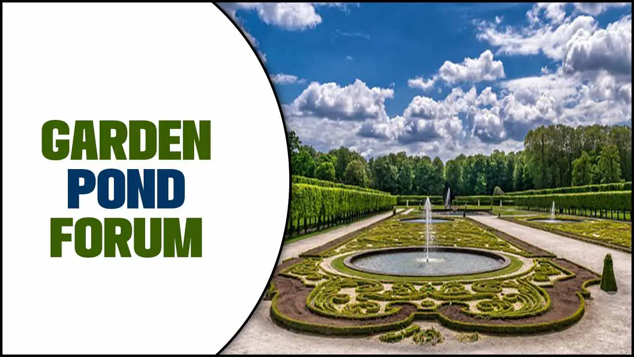 Garden Pond Forum