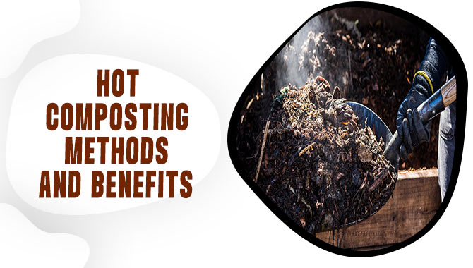  Hot Composting Methods And Benefits