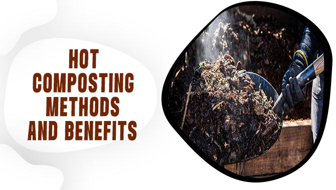 Hot Composting Methods And Benefits